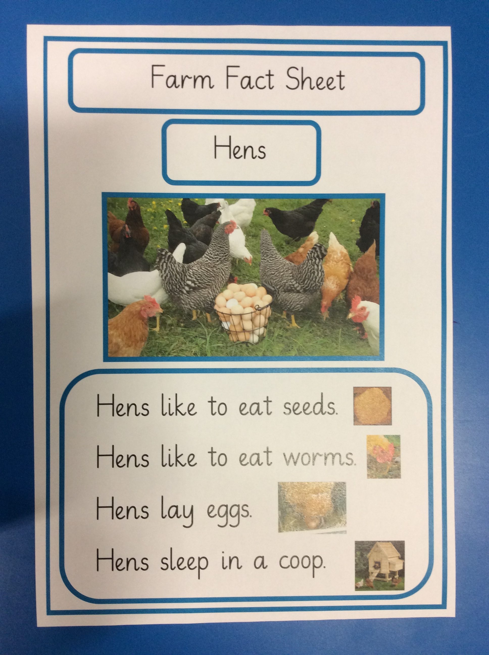 Reception Learning About Farm Animals – Frederick Bird Primary School